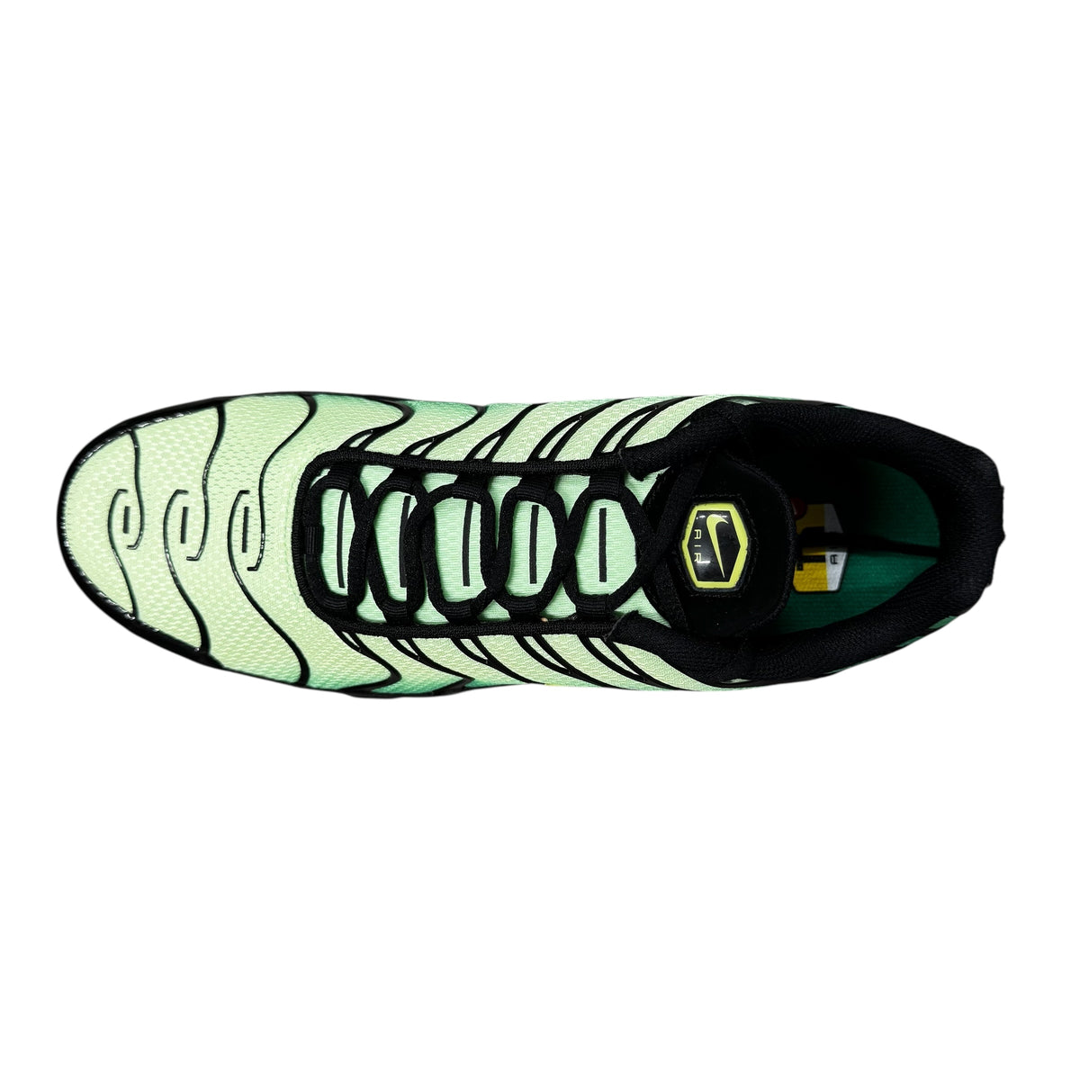 NIKE TN ‘VENOM’